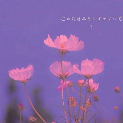 瓦利bt版下载
