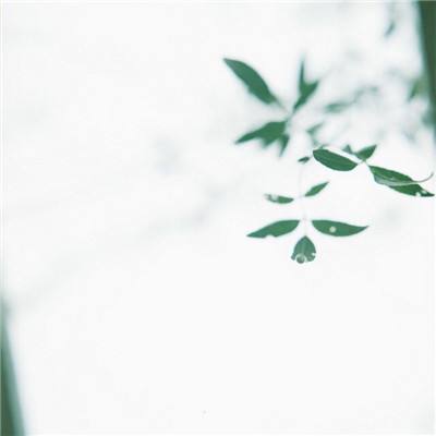 傻馒爱消除手机版下载